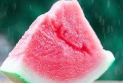 朝阳号外官网免费吃瓜